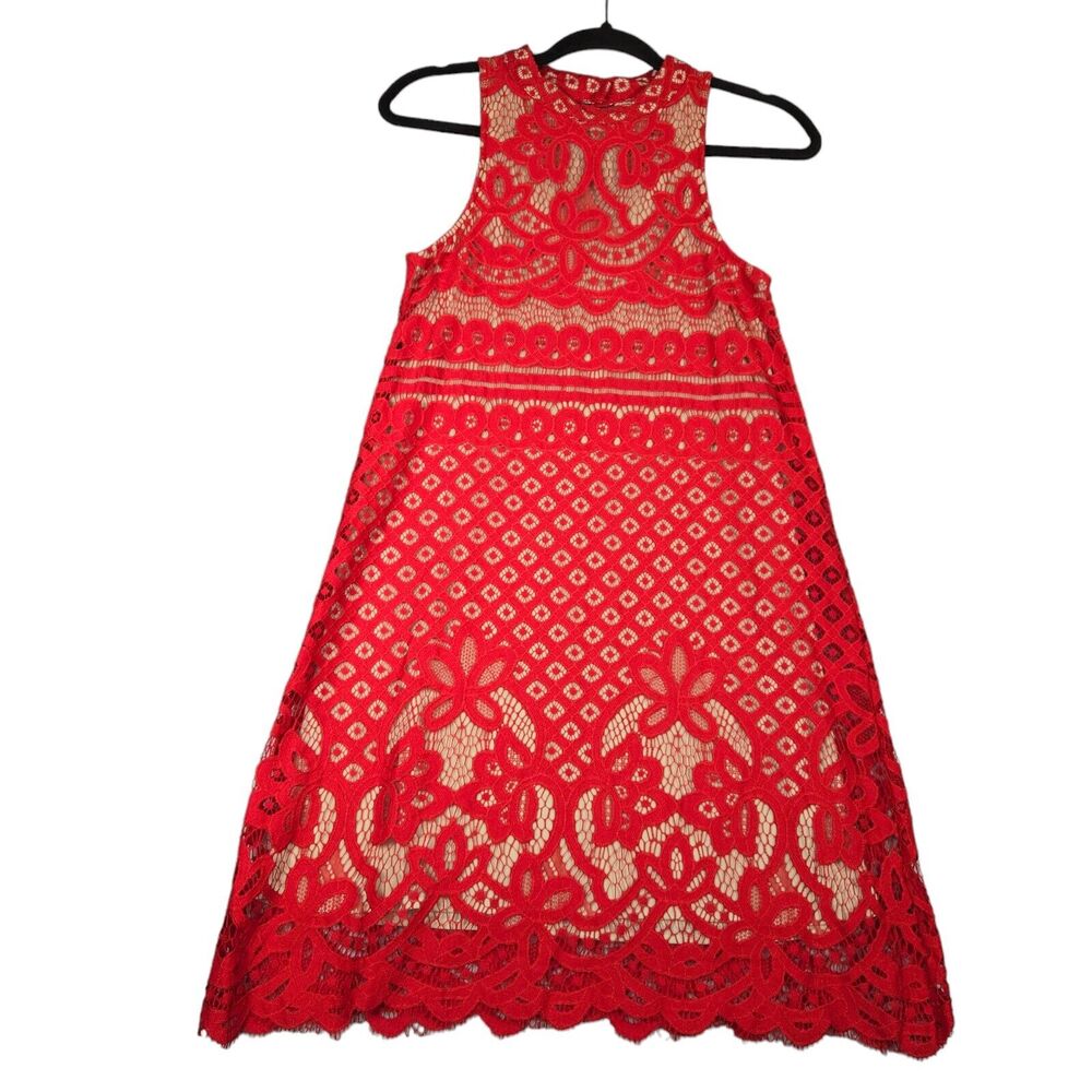 Francesca's Collections Red Lace Mini Dress